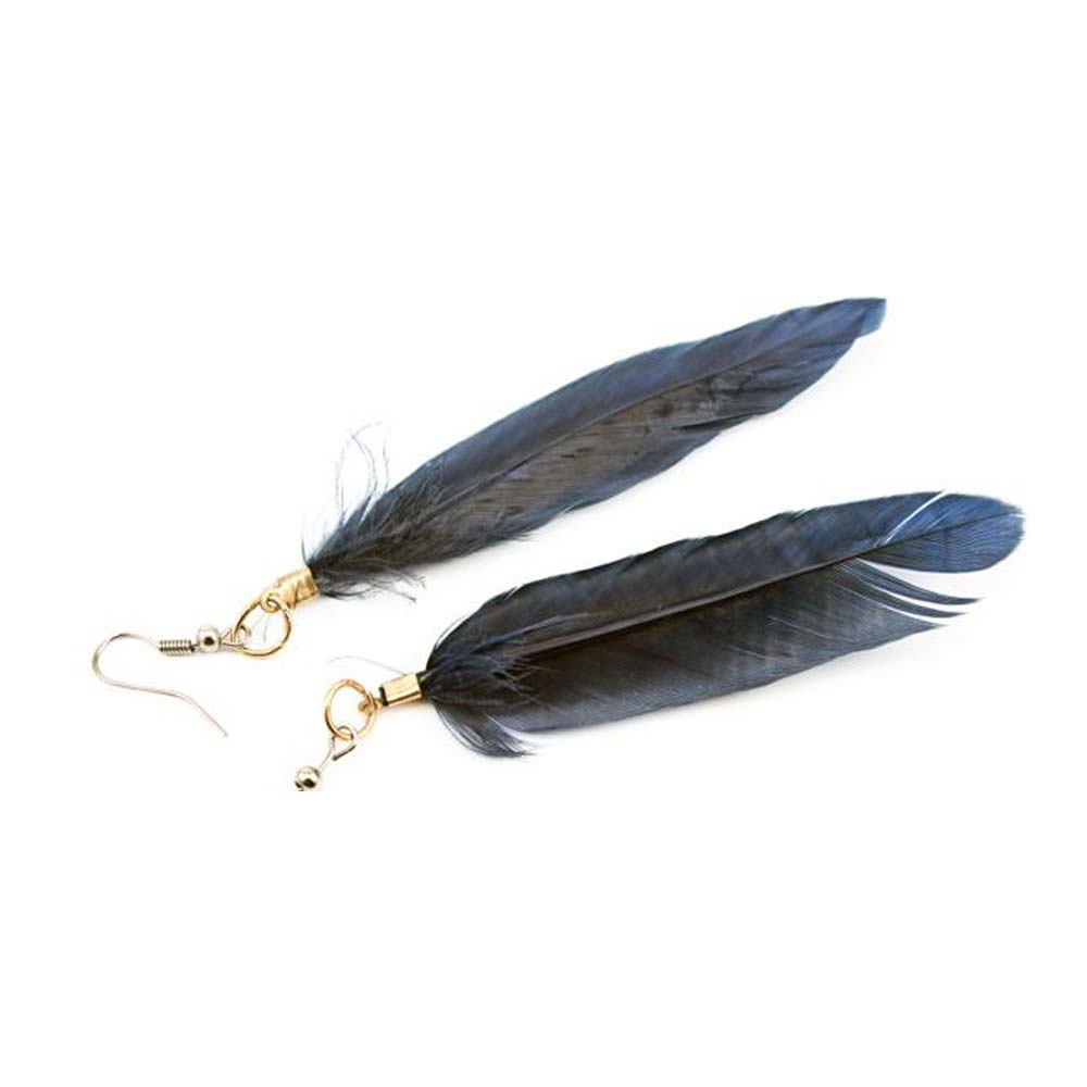 a pair of feather earrings